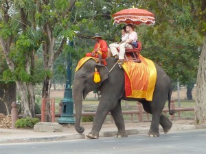 Катание на индийском слоне