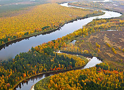 Осенний сибирский пейзаж с петляющей среди лесов рекой